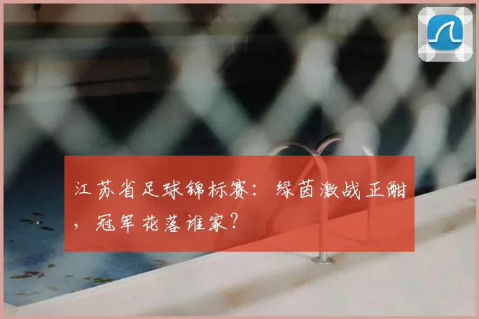 江苏省足球锦标赛:绿茵激战正酣,冠军花落谁家?